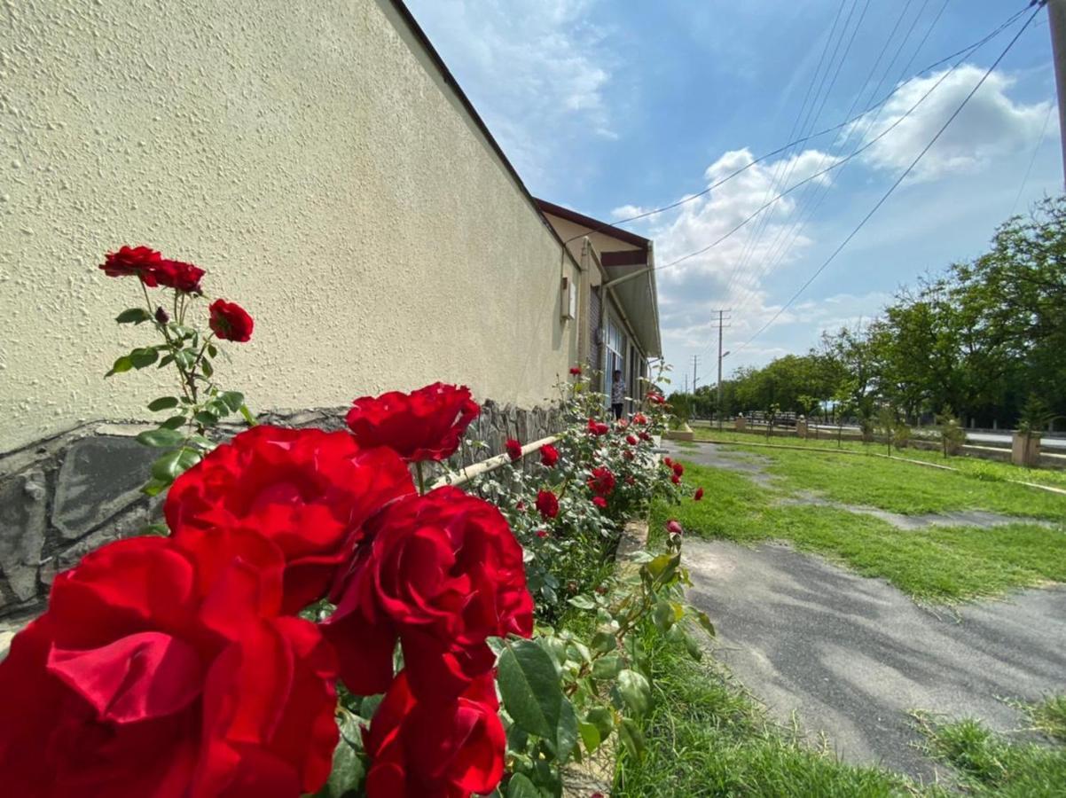 Alp Hotel Qax Kültér fotó