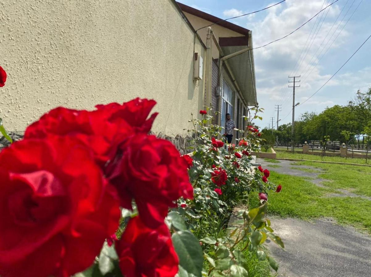 Alp Hotel Qax Kültér fotó