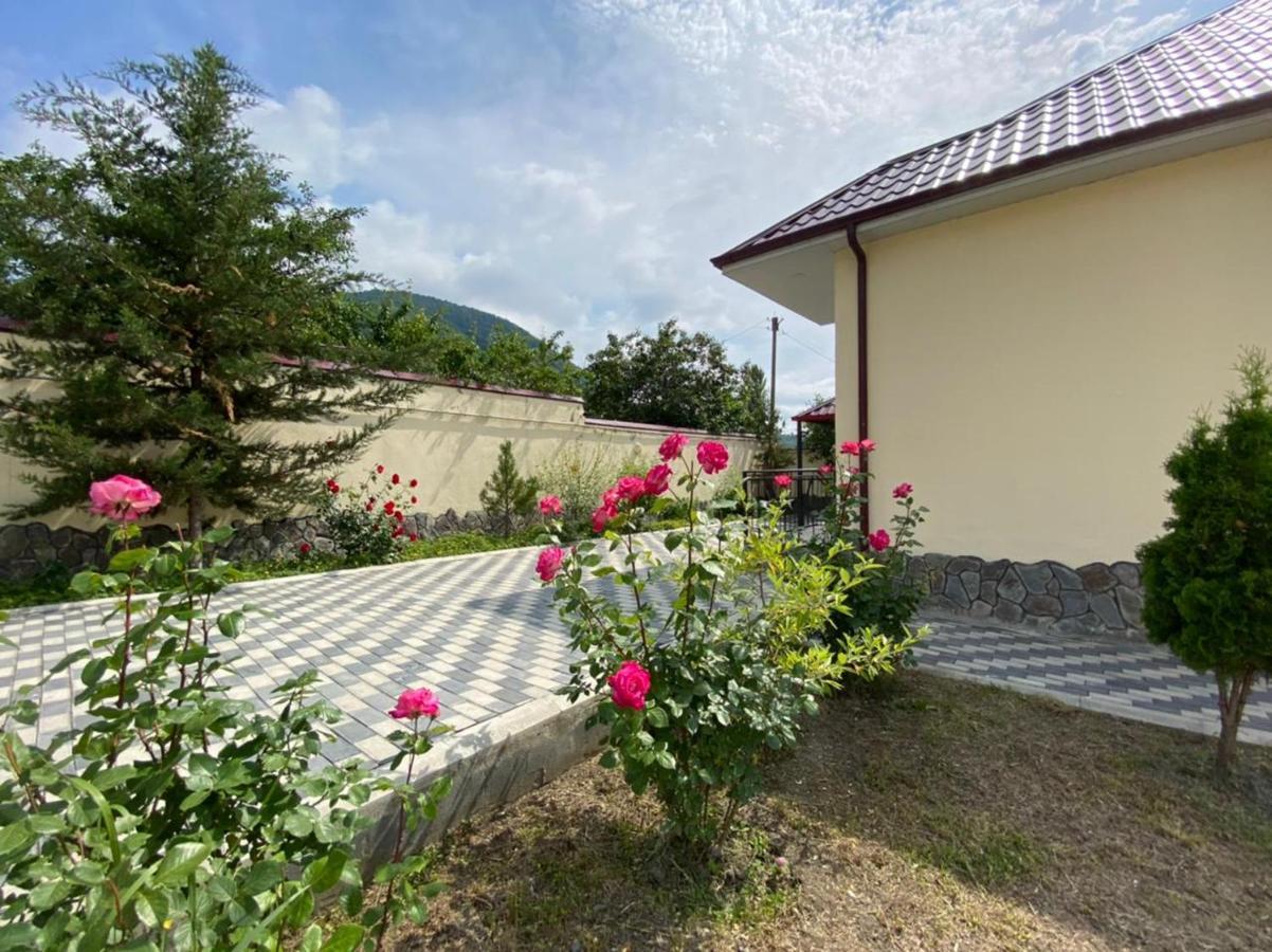 Alp Hotel Qax Kültér fotó