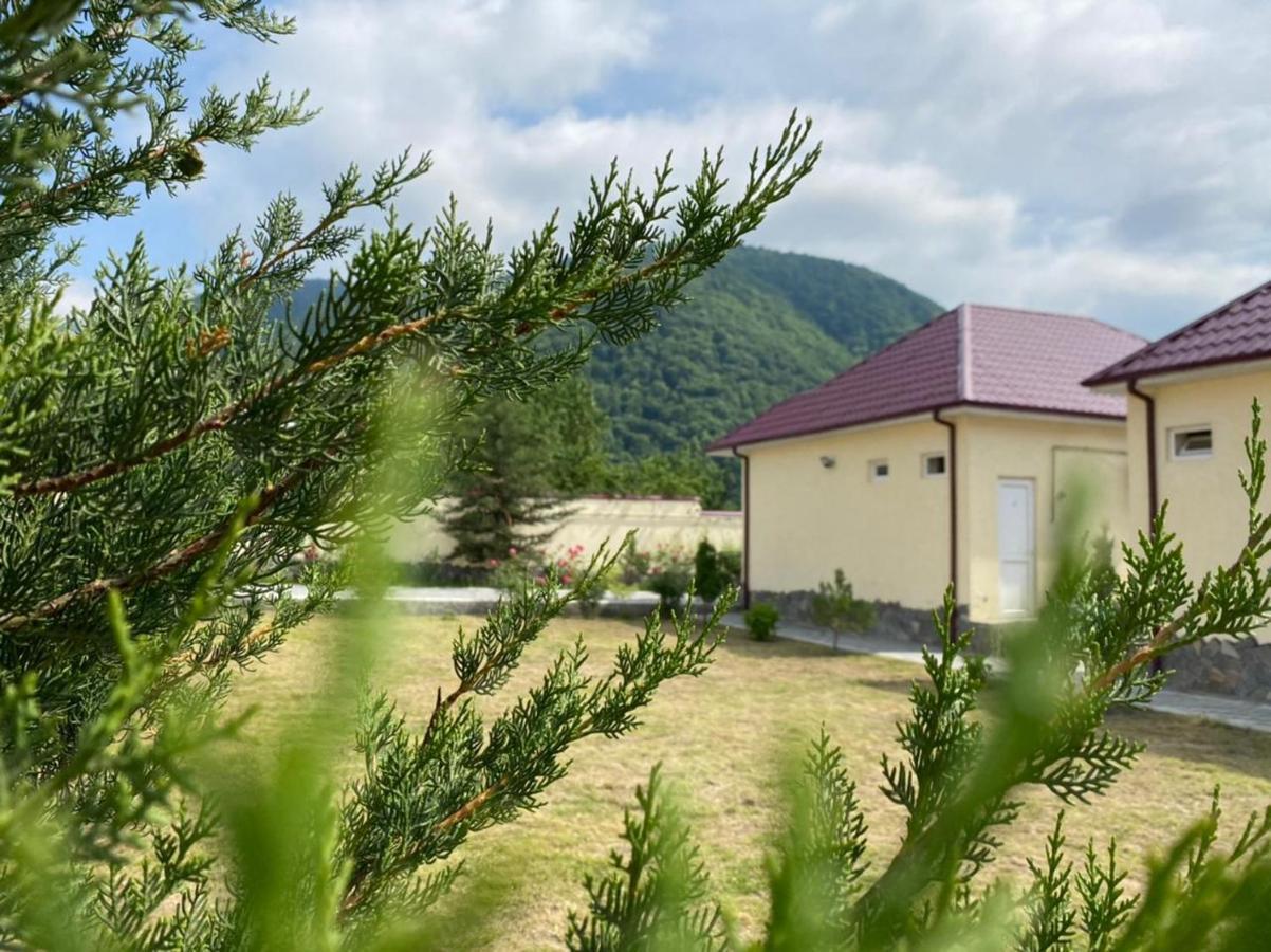 Alp Hotel Qax Kültér fotó